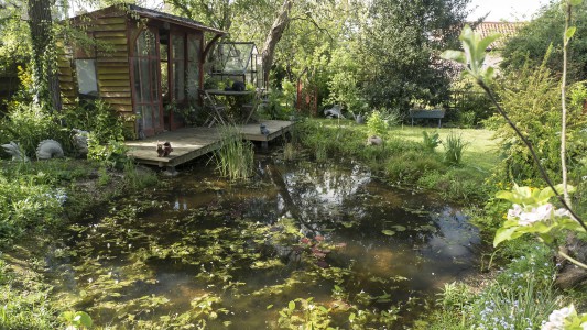 Pond and decking landscaping