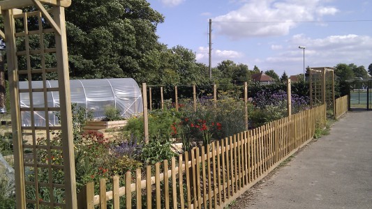 Educational School Garden