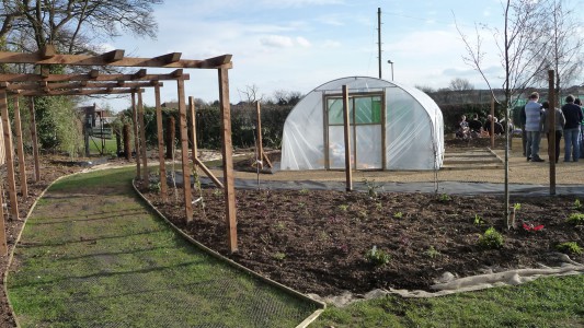 School Playing field Landscaping