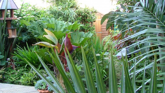 Exotic Planting