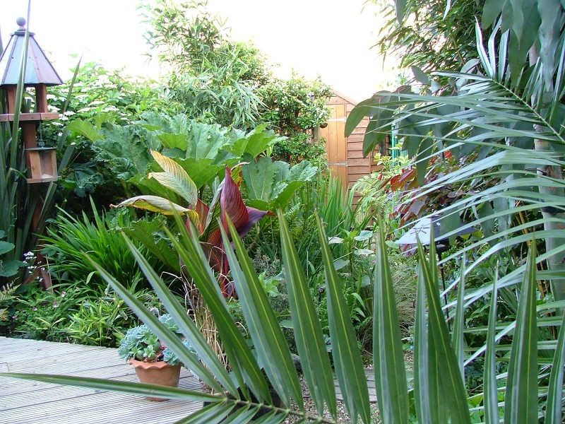 Exotic Planting