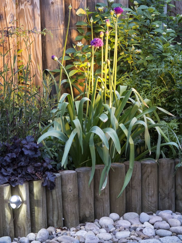 Garden lighting planting