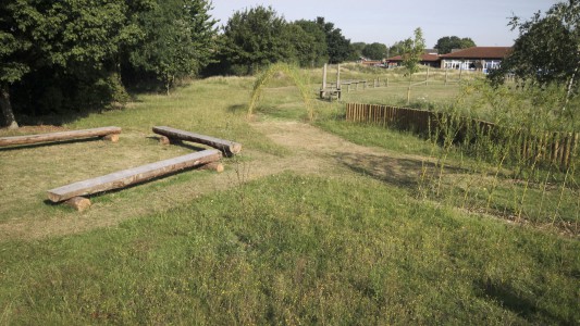 school wild quiet spaces facilitate outdoor learning