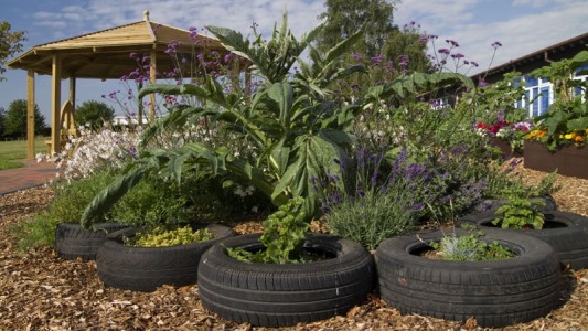 School LandscapingNovel Beds and Borders for Schools