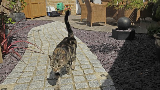 Silver Granite Setts Paving