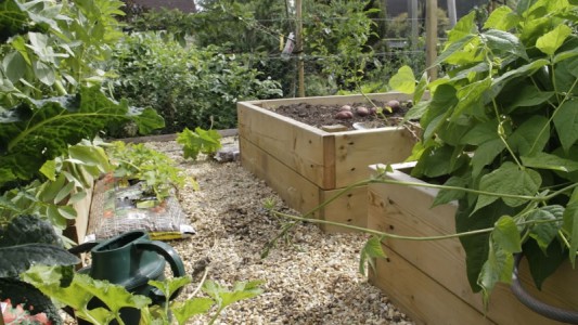 Timber Raised Beds