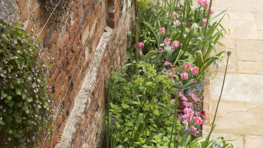Walled gardens - Soft Landscaping
