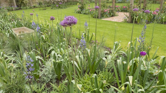 Lawn Borders and Soft Landscaping