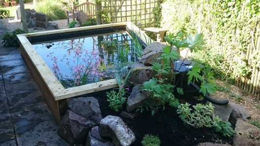 Raised ponds are a great way to enjoy water up close