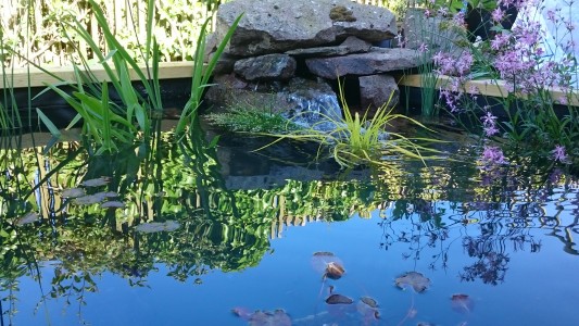 Water planting